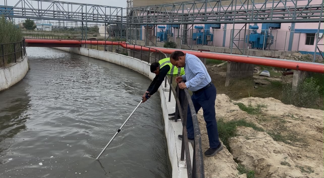 Site Survey 5